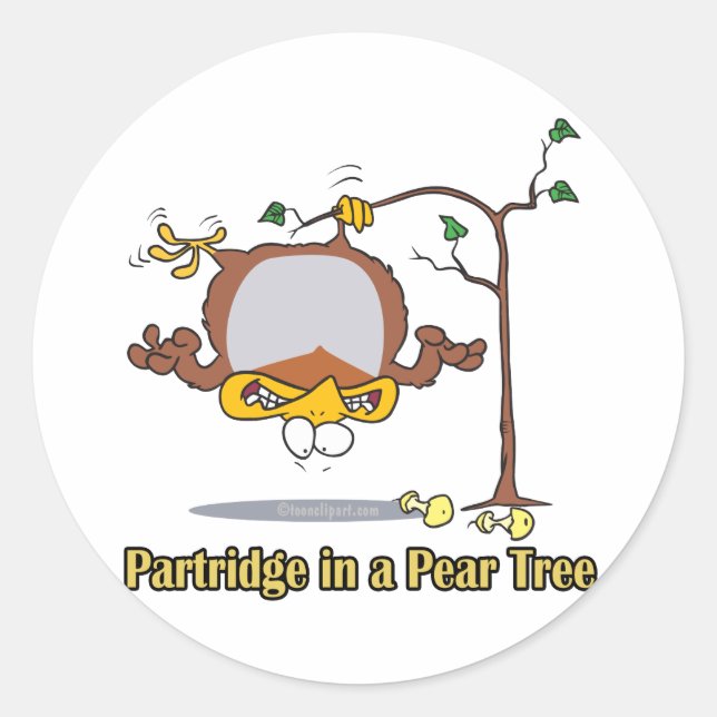 partridge in a pear tree 1st first day christmas classic round sticker (Front)