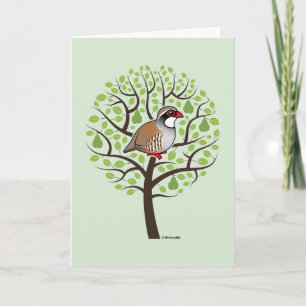 Partridge in a Pear Tree Holiday Card