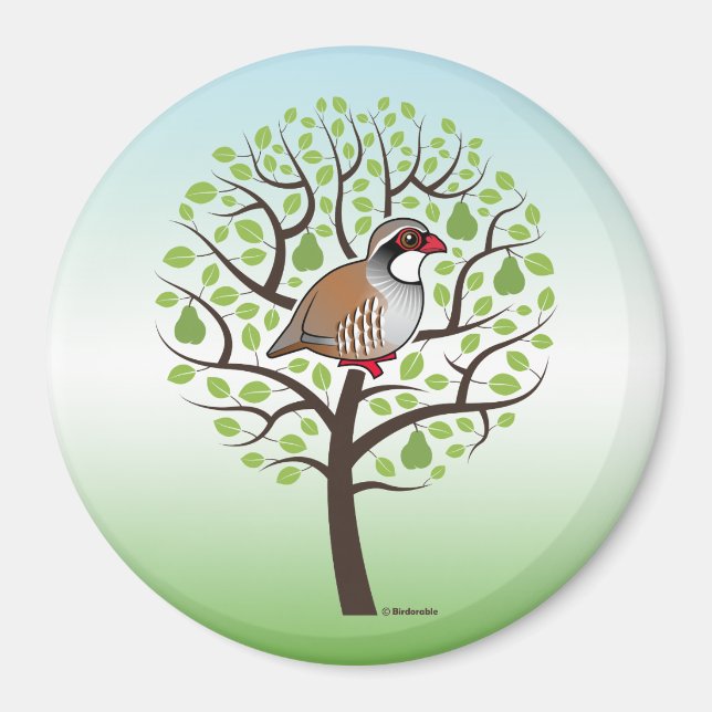Partridge in a Pear Tree Magnet (Front)