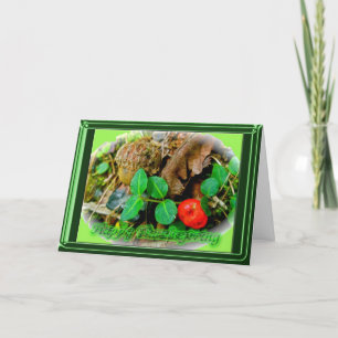 Partridgeberry Happy Thanksgiving Card