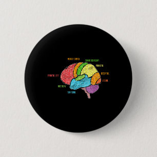 Parts of The Brain Anatomy Colourful Diagram 6 Cm Round Badge