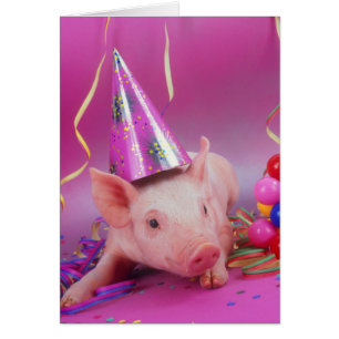 Party animal!