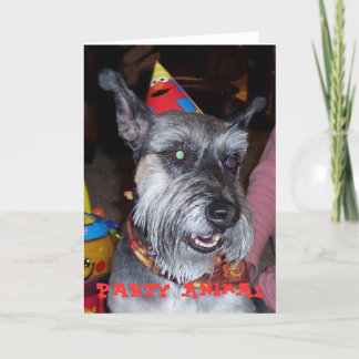 Party Animal, Birthday Card