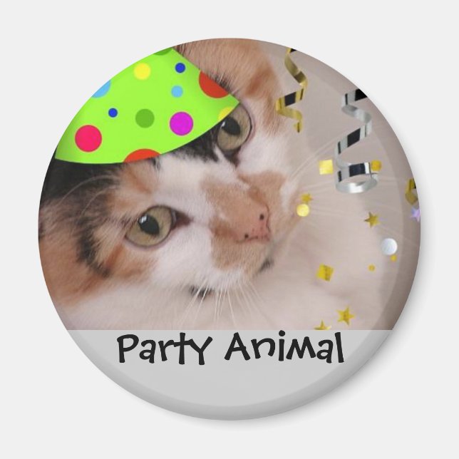 Party Animal/Calico Cat Magnet (Front)