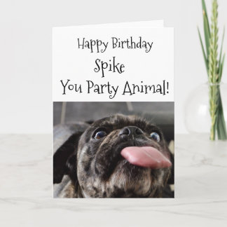 Party Animal Pug Birthday Customizable Card
