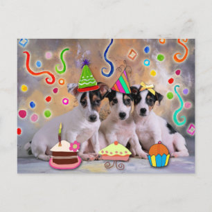 Party animals, dogs celebrating postcard