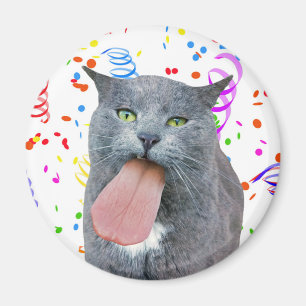 Party Cat Got Your Tongue? Magnet