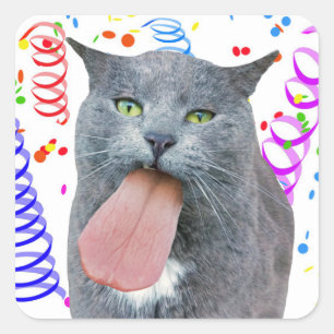Party Cat Got Your Tongue? Square Sticker