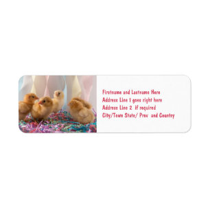 Party Chicks Yellow Baby Chickens Streamers Return Address Label