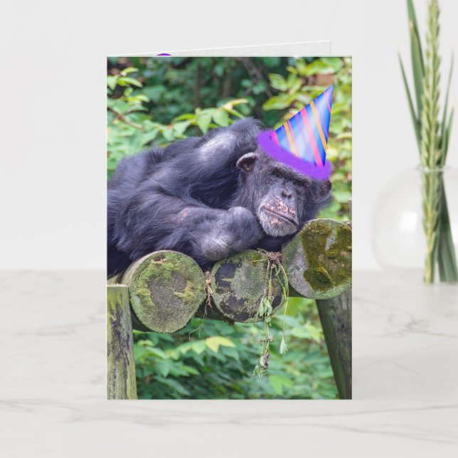 party chimpanzee for humourous birthday card (Front)