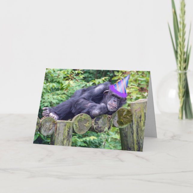 party chimpanzee for humourous birthday card (Front)