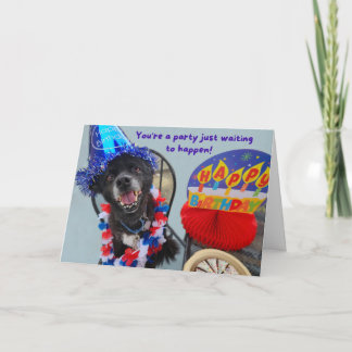 Party Dog Funny Birthday  Card