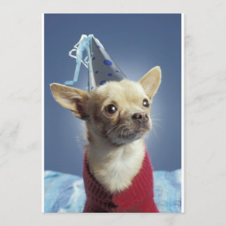 Party Dog Invitation