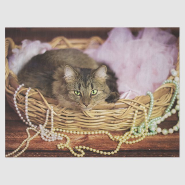 party girl tissue paper (Front)