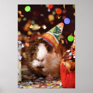 Party Guinea Pig Poster