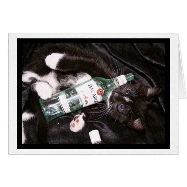 Party Hard Card (Front Horizontal)