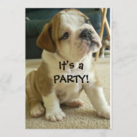 Party Invitations English Bulldog Puppy
