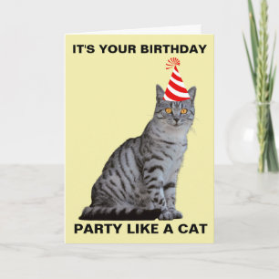 PARTY LIKE A CAT BIRTHDAY CARD