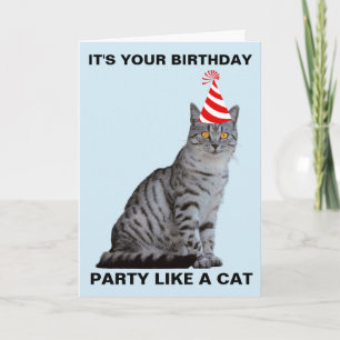 PARTY LIKE A CAT BIRTHDAY CARD