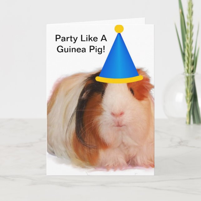 Party Like A Guinea Pig cards (Front)