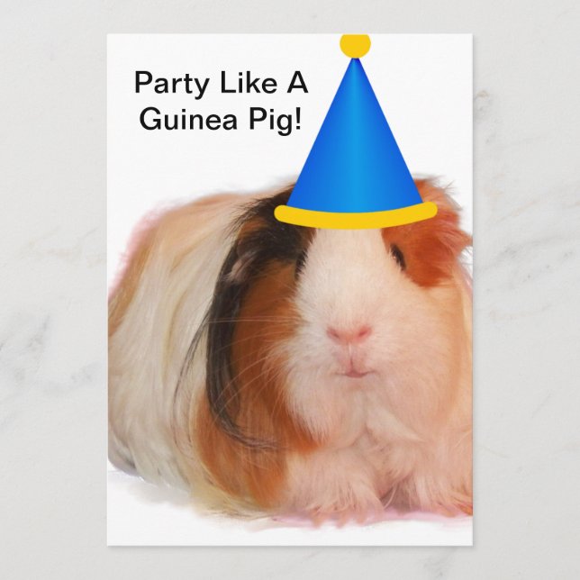 Party Like A Guinea Pig - Party Invitations (Front)