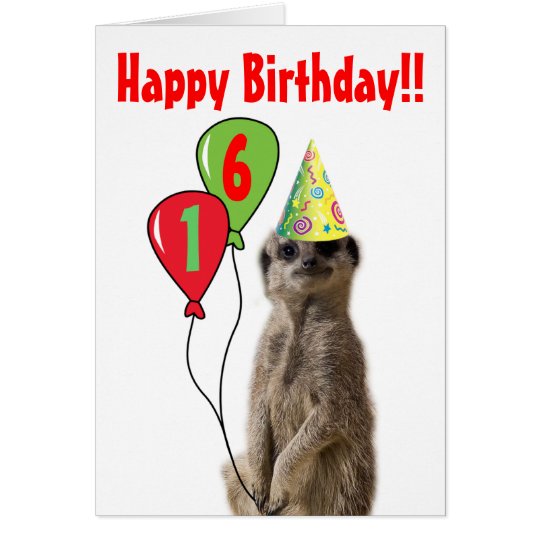 Party Like a Meerkat Birthday Card