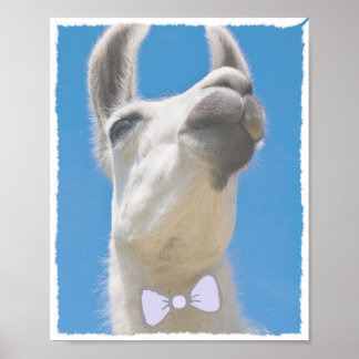 Party Llama with a Bow Tie Poster