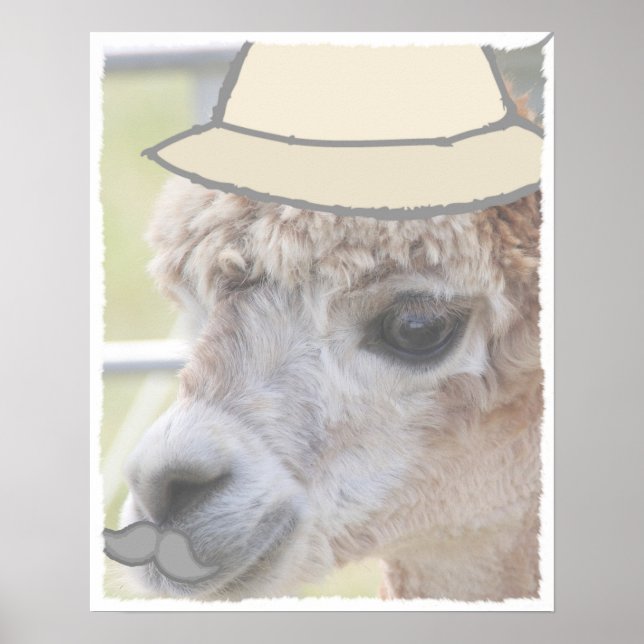 Party Llama with a moustache Poster (Front)
