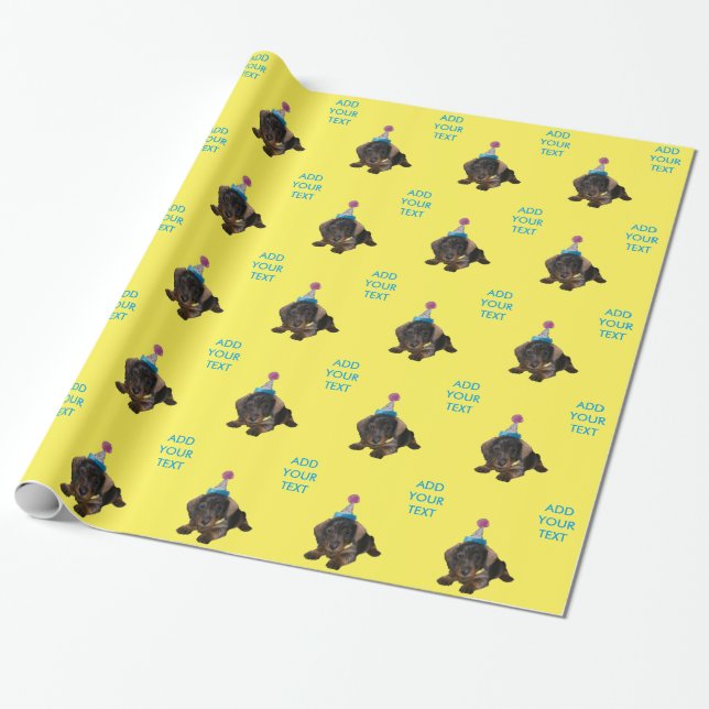 Party Pooper Wrapping Paper (Unrolled)
