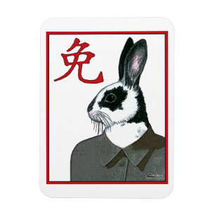 Party Rabbit Magnet