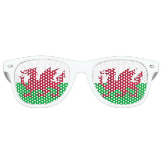 Party Shades & Wales Sunglasses / Welsh flag