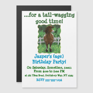 Party Time Appaloosa Horse Magnetic Invitation