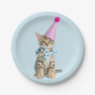 PARTY Time Cupcake Birthday Kitten Celebration Paper Plate