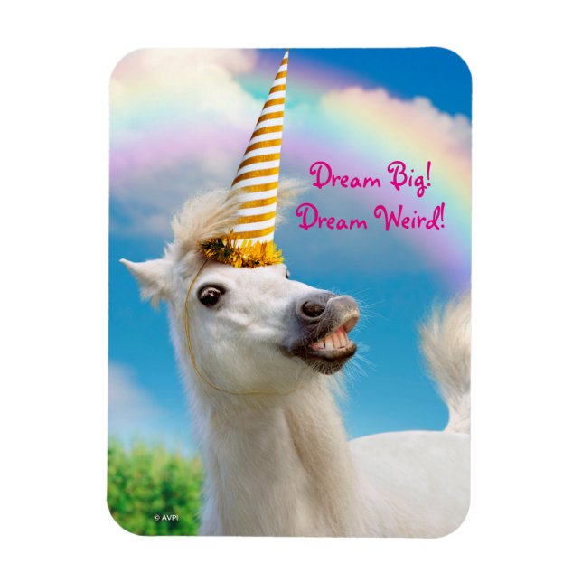 Party Unicorn Horse And Rainbow Magnet (Vertical)