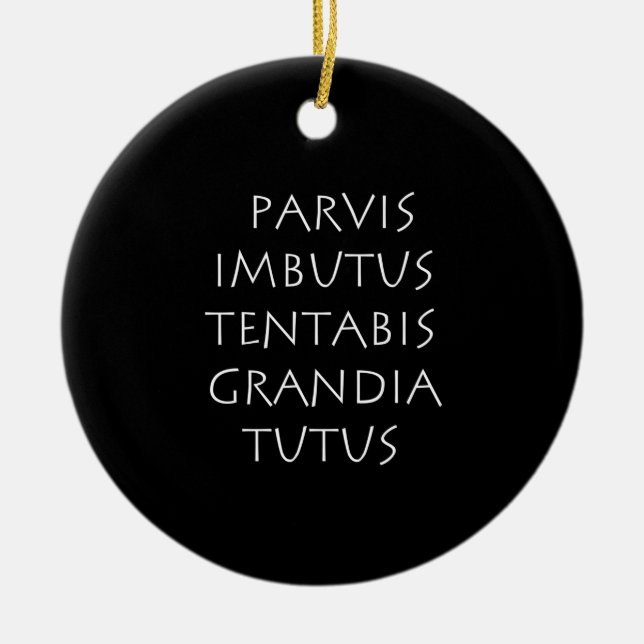 Parvis imbutus tentabis grandia tutus ceramic ornament (Front)