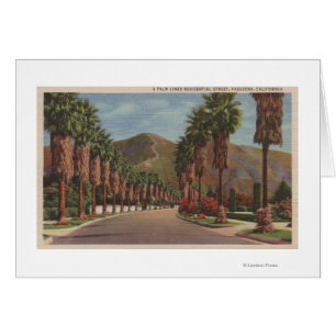 Pasadena, CA - Residental Street Scene & Palms