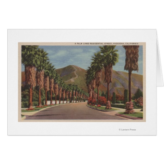 Pasadena, CA - Residental Street Scene & Palms (Front Horizontal)