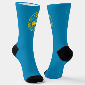 Pasadena (California) city flag Socks