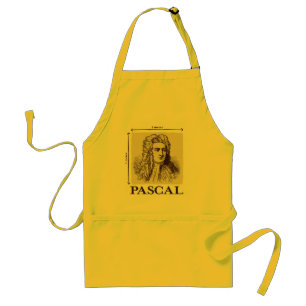 Pascal = 1 newton per square metre math joke standard apron