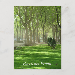 Paseo del Prado Postcard