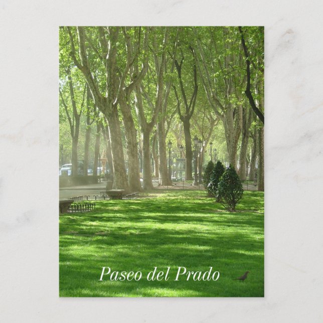 Paseo del Prado Postcard (Front)