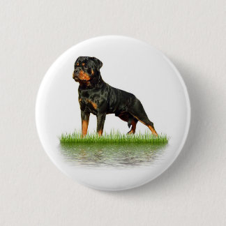Pasha Earl Antonius 6 Cm Round Badge
