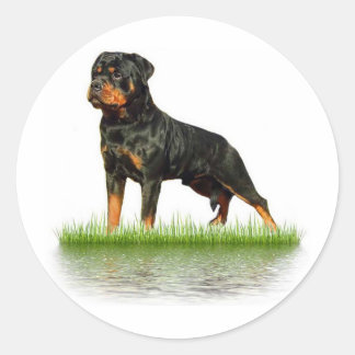 Pasha Earl Antonius Classic Round Sticker