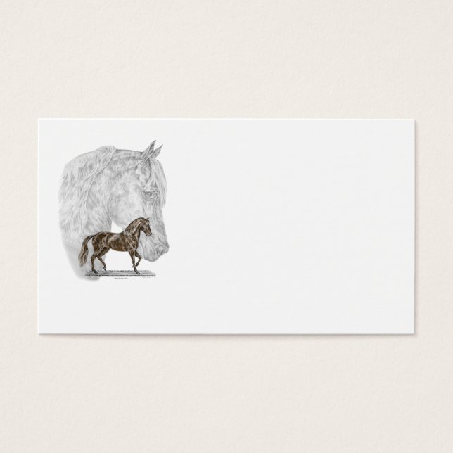 Paso Fino Horse Art (Front)