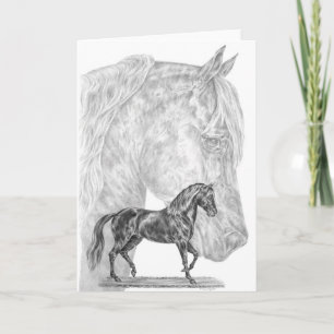 Paso Fino Horse Drawing by Kelli Swan Card