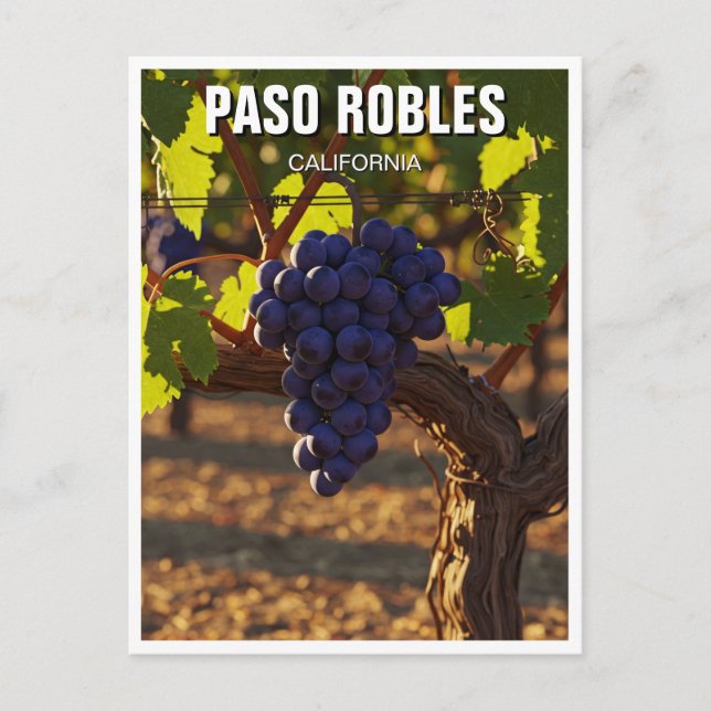 Paso Robles California Central Coast Postcard (Front)