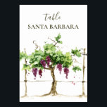 Paso Robles Vineyard Winery Wedding Table Number<br><div class="desc">An elegant collection featuring watercolor grapevine in rustic brown, green, purple hues. Perfect for a vineyard, winery, wine tasting getaway. Get the table numbers or names, welcome sign, menus, stickers, and favour bags for a streamlined look. If you need any changes in the design such as colour, text, or font;...</div>