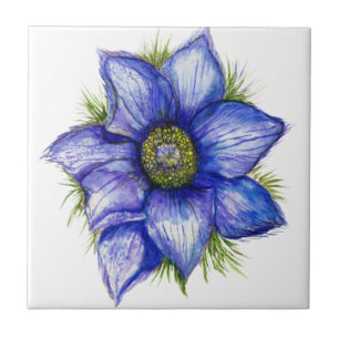 Pasque Flower in Blue Ceramic Tile