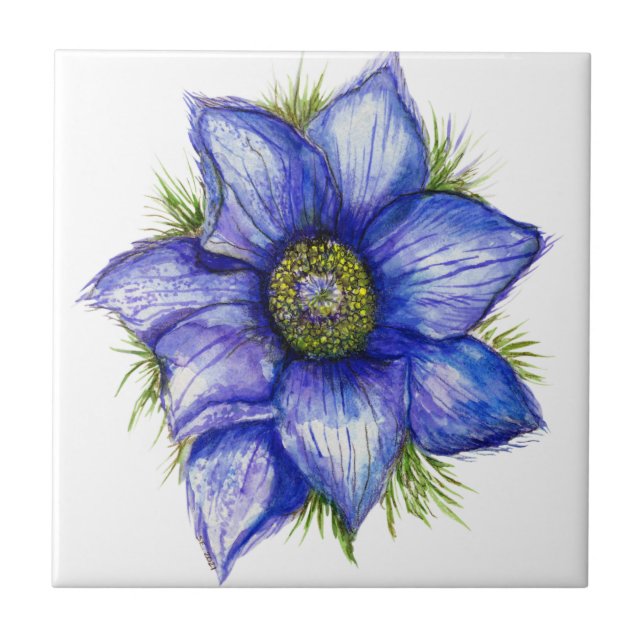 Pasque Flower in Blue Ceramic Tile (Front)