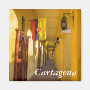 Passageway and Flags Magnet